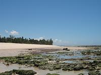  Plage à marée basse